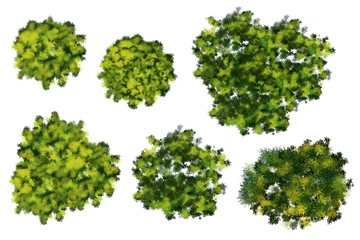 Naklejka premium Set of watercolor tree top view for landscape plan and architecture layout 