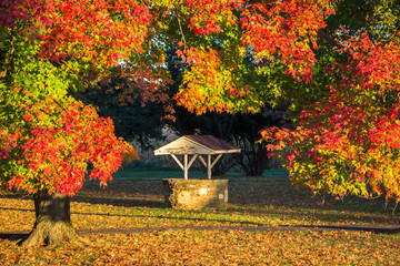 Beautiful Fall day at Core Creek Park, Langhorne, Pennsylvania