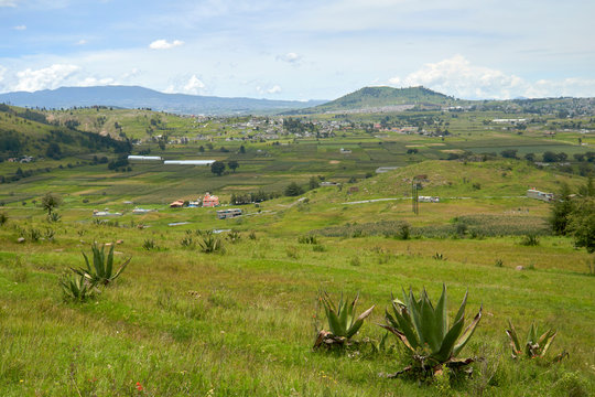 Vista de un valle verde