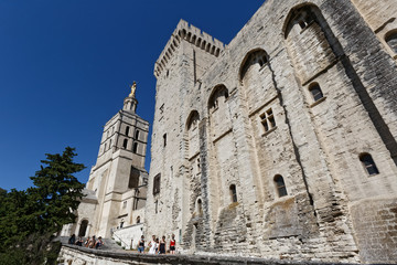 Palais des papes et cathédrale Notre-Dame-des-Doms à Avignon - France