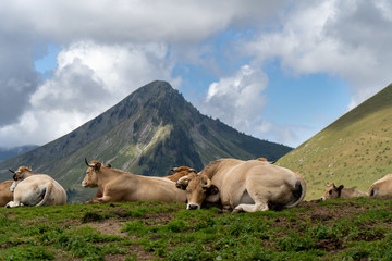 RhodesAlpes Frankreich Sommer  