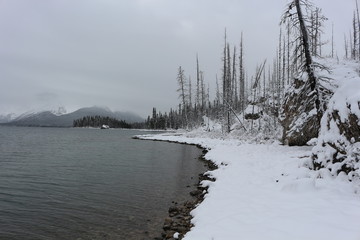 Moraine Lake in winter -  Alberta Canada