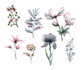 Hand drawn btanical set wtih floral watercolor illustration. Vintage engraved flowers.