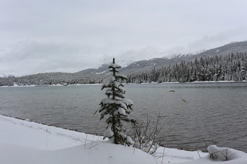 Fototapeta premium Moraine Lake in winter - Alberta Canada