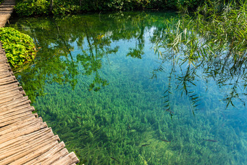 Pathway over the lake in the beautiful forest in Plitvice lakes National Park, Croatia. Nature landscape