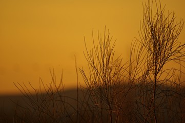 Obraz premium Atardecer equilibrado