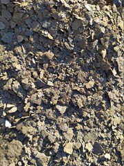 Soil with small stones backdrop