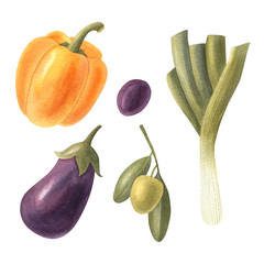 Watercolor set of fresh vegetables: eggplant, leek, bell pepper, olive and olive branch. Bright isolated illustration on the white background. Vegetables collection.
