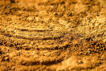 golden sand on the road