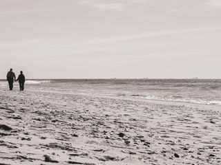 a walk along the seashore