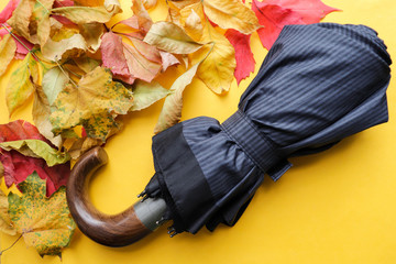 autumn composition. men's umbrella and autumn leaves. Men's Accessories