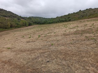 Obraz premium countryside in the mountains 