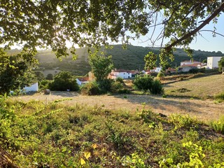 rural landscape with houses