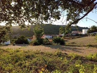 rural landscape with a house