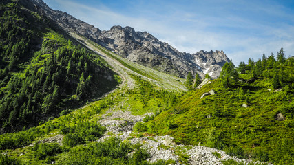 Fototapeta na wymiar Tour du Mont Blanc, hiking in the Alps