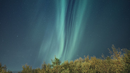 Northern lights Aurora Borealis in Iceland 