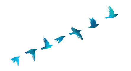 Bird watercolor. A flock of colorful birds. Mixed media. Vector illustration