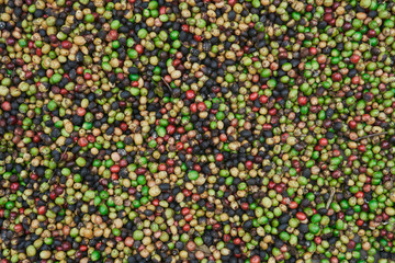 Fototapeta na wymiar coffee beans of green, yellow, red and blue colours lying on the ground