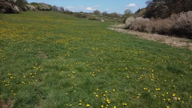 Tal in der Eifel im Fr&uuml;hling