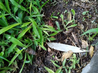 Tierra & Naturaleza
