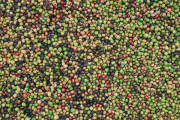 Fototapeta na wymiar coffee beans of green, yellow, red and blue colours lying on the ground