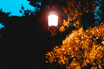 Rain light