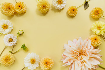 Orange, white, flowers dahlias on yellow pastel background. Flowers composition. Flat lay, top view, copy space. Summer, autumn concept.