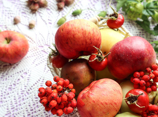 Basket with ripe fruit-apples, Rowan and rose hips - on the background of a lace napkin, close-up