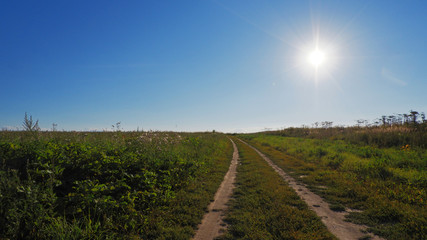 country road through a field at sunset.JPG

