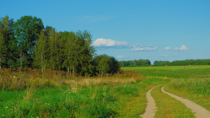 Obraz premium country road through the evening field