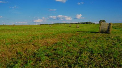 mowed field with haystacks of harvested hay