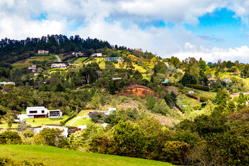 Bosque