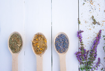 dried flowers and herbs in wooden spoons on white wooden background