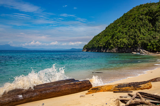 Huge log on Pantai Base beach in Sentani, Jayapura, New Guinea.