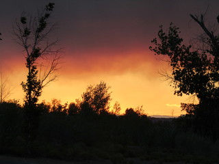 sunset in the forest Arizona 