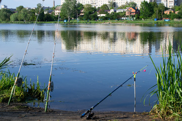 landscape, summer park green trees and lake, river and park