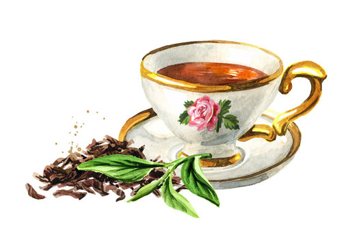 Cup of tea and Heap of dry tea brew and fresh green tea leaf. Hand drawn watercolor illustration isolated on white background