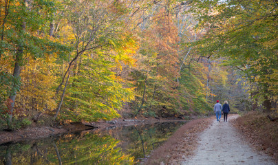 Fall Colors Autumn Scene Washington DC 