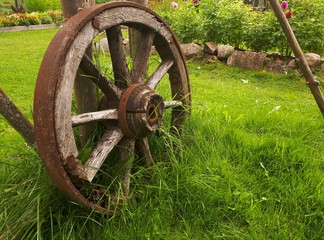 Fototapeta premium Old wooden wheel on a green meadow - Oslo, Bogstad Gård 