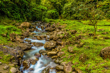 Obraz premium A long exposure view of a mountain stream in the rain forest of Martinique