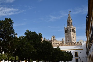 Fototapeta na wymiar La giralda, Sevilla