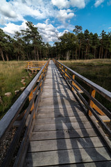 Fototapeta premium Wooden Walkway at the Otternhagener Peat or Turf Area, Germany