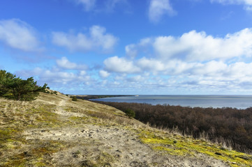 Fototapeta na wymiar High sand dunes. Picturesque sea shores. Curonian Spit on the Baltic Sea.