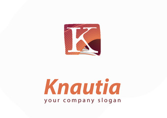 letter K logo Template for your company