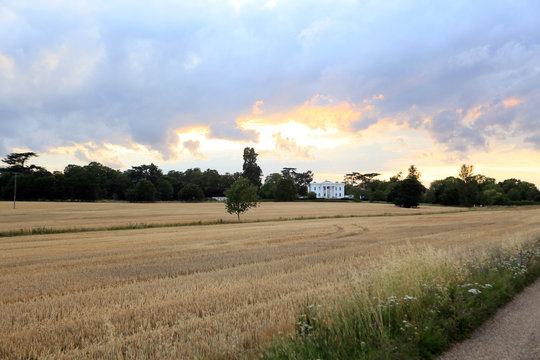view of felix hall across cornfields in kelvedon, essex