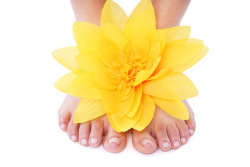 Füße mit gelber Blume