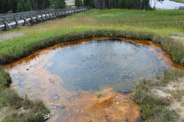 Hot spring in Yellowstone National Park.