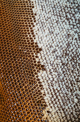 Honeycomb texture. Sealed cells with honey. Hive frame. 