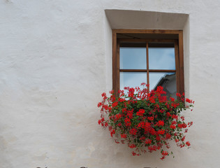 Malles Venosta typical alpine window with blooming Geraniums.