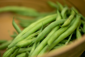 fresh green beans